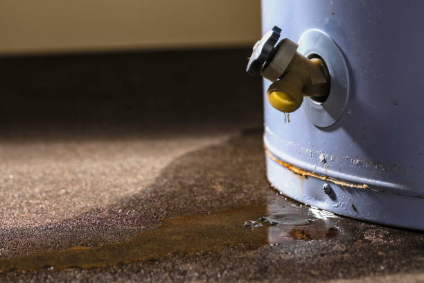 Best Flood damage cleanup  in Rmel By The Sea, CA