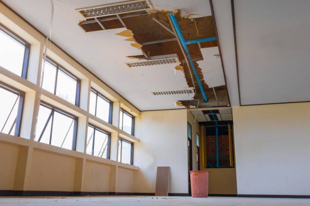 Best Professional water damage repair  in Rmel By The Sea, CA