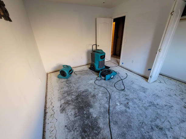 Best Sewage cleanup and water damage restoration  in Rmel By The Sea, CA