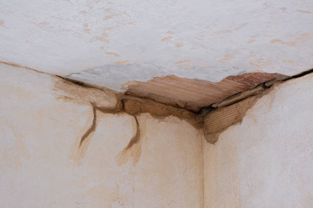  Rmel By The Sea, CA Water damage restoration Pros