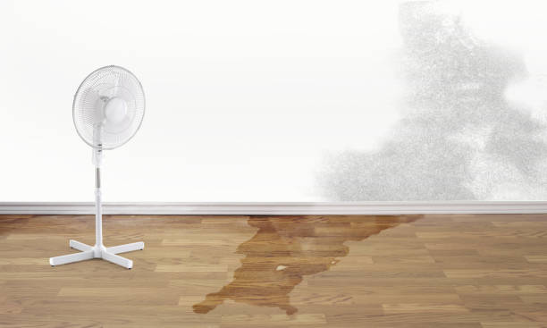 Best Water damage restoration near me  in Rmel By The Sea, CA