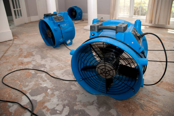 Best Emergency water extraction  in Rmel By The Sea, CA