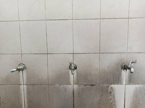 Best Flood restoration services  in Rmel By The Sea, CA
