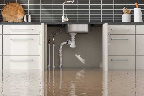 Best Residential water damage restoration  in Rmel By The Sea, CA