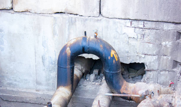 Best Mold removal after water damage  in Rmel By The Sea, CA